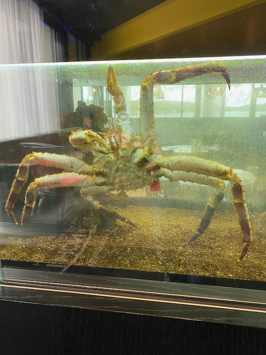 King Crab