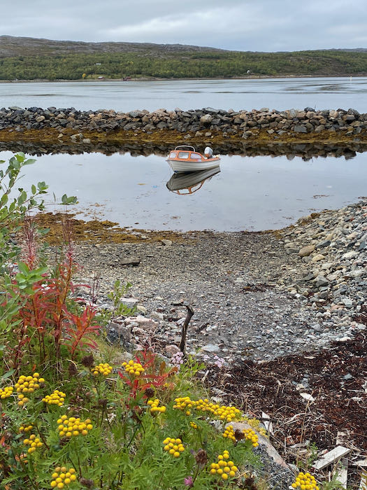 Tidal inlet