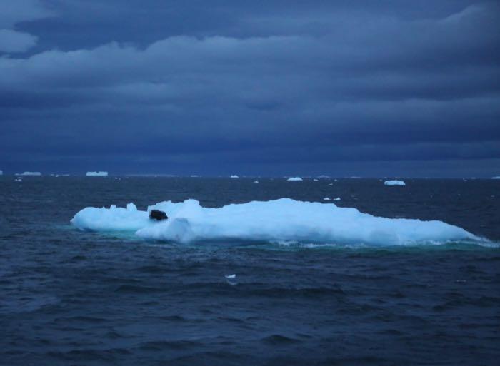 Ice rafted debris floats by the R/V Nathaniel B. Palmer icebreaker