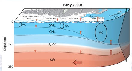 Ocean Layers 2000s