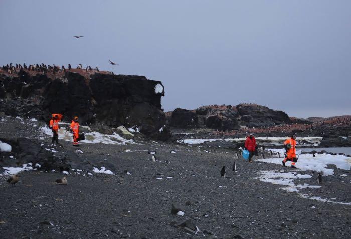 Researchers carry equipment to the next seal tagging site