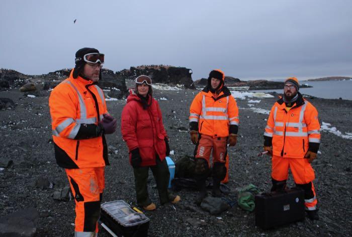 Researchers gather for a quick discussion of protocol before attempting a seal tagging