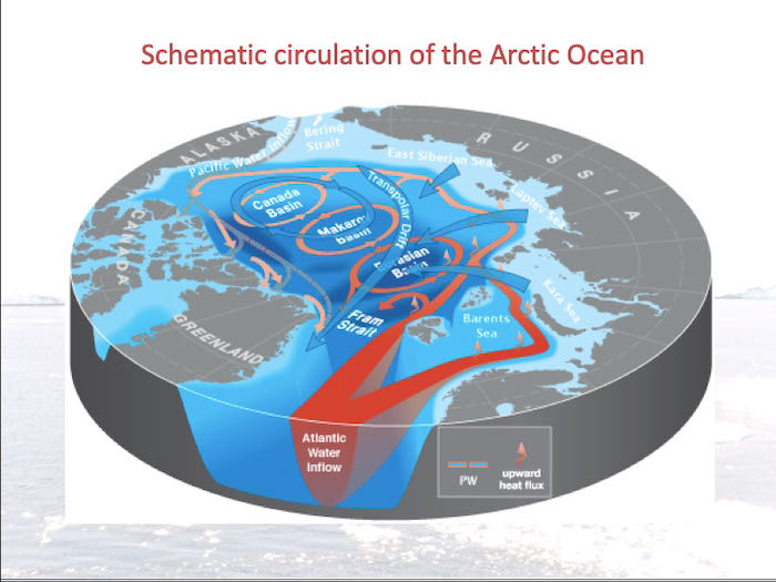 Arctic circulation