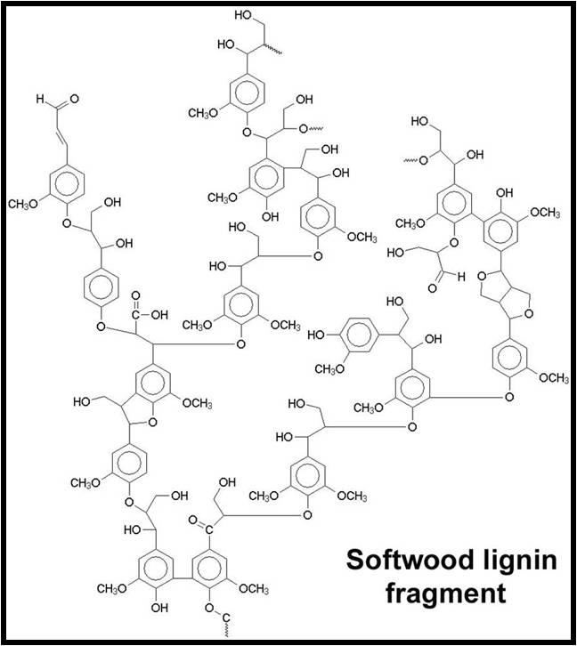 Lignin polymer