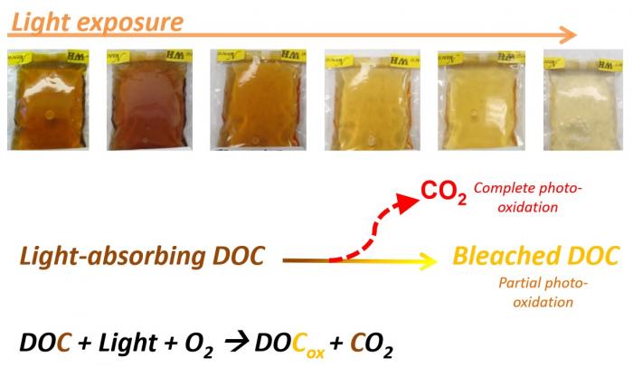 Photobleaching