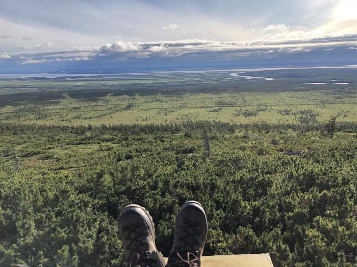 Boreal forest from above photographed by Amanda Ruland