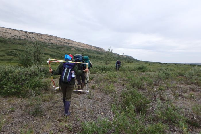 Researchers hike equipment out to field location from road