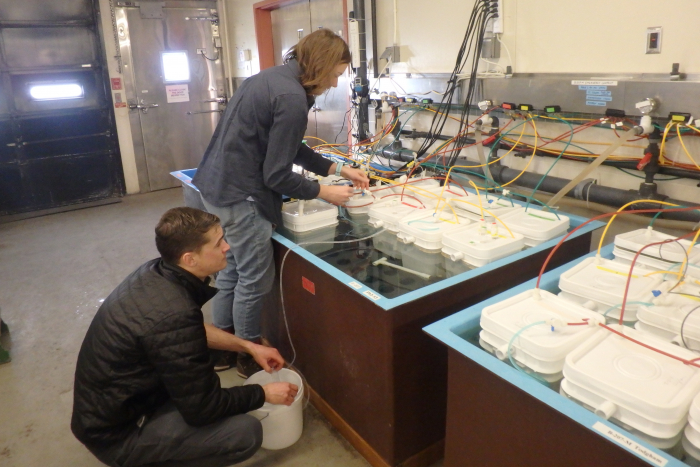 Andrew Naslund and Amanda Frazier checking water chemistry