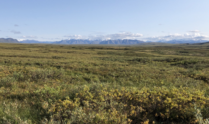 View of the tundra and the Brooks Range 