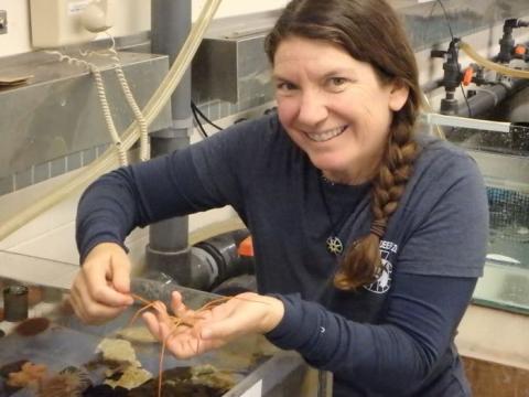 Amy Osborne holding a sea spider