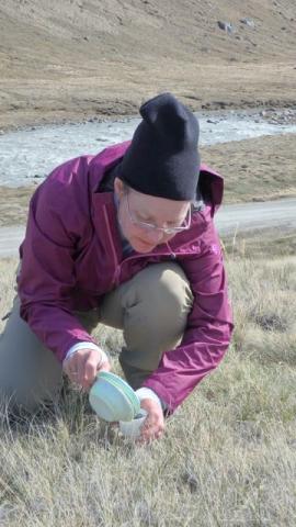  Anne Schoeffler empties a bee bowl