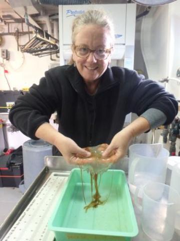 Lee Teevan holding a jellyfish.