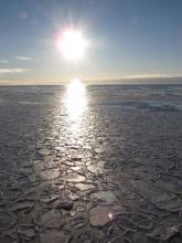 Thin sea ice. Many different systems affect how much sea ice there is, how thick it is, and where it is located. In the Arctic, air temperature plays a major role. Photo by Dave Jones (PolarTREC 2017). Courtesy of ARCUS.