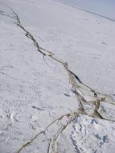 Ice algae turns the cracks in the sea ice green. On the USCGC Healy icebreaker, on the Bering Sea. Photo by Maggie Prevenas (PolarTREC 2007), Courtesy of ARCUS.