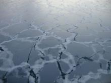 Pieces of nilas ice form in calm waters. Then they can be rafted together by wind or water currents. Photo by Chantelle Rose (PolarTREC 2011), Courtesy of ARCUS.    