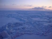 Pressure ridges in the sea ice. When flat floes of sea ice collide with each other, sometimes pressure ridges like this form. Chunks of ice pile on top of each other, creating areas of greater thickness. When covered with snow, these pressure ridges can be important pupping habitat for ice seals. Photo by Chantelle Rose (PolarTREC 2011), Courtesy of ARCUS  