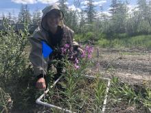 Amanda Ruland uses a point intersect plot to gather information on vegetation