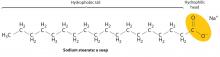 Sodium Stearate.