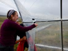 Tying Down the Greenhouse Cover