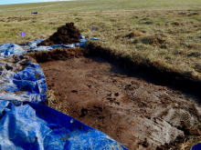 Frozen Soil Bed