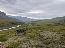 On a brief stop for lunch we looked back to where we came from only to see that the road had disappeared from view