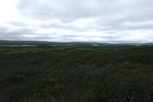 View from field site located about two hours outside of Toolik