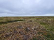 A view of the Arctic tundra outside of Utqiagvik, Alaska.