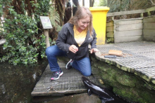 Feeding Eels