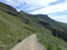 Trail in Banks Peninsula, New Zealand