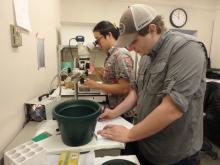 Aaron Toh looking through a microscope and Graham Lobert taking notes in the lab at McMurdo Station, Antarctica.