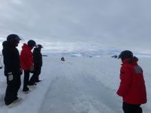 Assessing some standing water near a crack in the ice