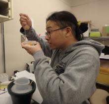 A scientist replaces water in tray of eggs.