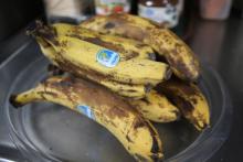 Bananas past their expiration date on the R/V Nathaniel B. Palmer