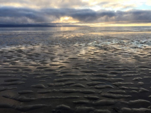 Sun, ocean, and sandy beach