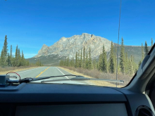 A road lined with a few evergreen trees is seen. A big grey mountain is in the background. 