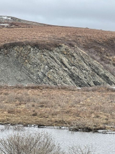 A grey selection of open bedrock is shown between two sections of brown tundra. 