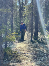 Sarah walking through a forest. 