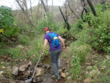 Elaine exploring a river