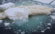 Algae causes some icebergs to appear yellowish-green