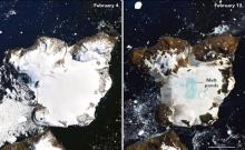 NASA images of Eagle Island, Antarctica on February 4 and February 13, 2020