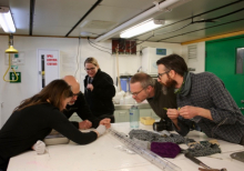 Scientists observe a polychaete worm found in a sediment sample