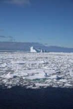 Sunlight reflects off the ice in the Southern Ocean