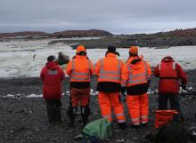 Researchers wait for a sedative to take effect on an elephant seal