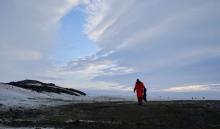 Researcher Gui Bortolotto scans the beach for any and all garbage produced while tagging an elephant seal (Permit FCO No. 03/2019-20)