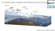 Organization Chart for the International Thwaites Glacier Collaboration