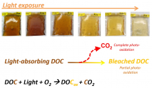 Photobleaching