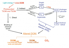 Photochemical degradation of DOC