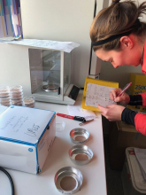 sediment weighing