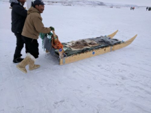 Dog Sled