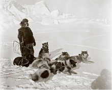 Member of Amundsen’s team with sled dogs